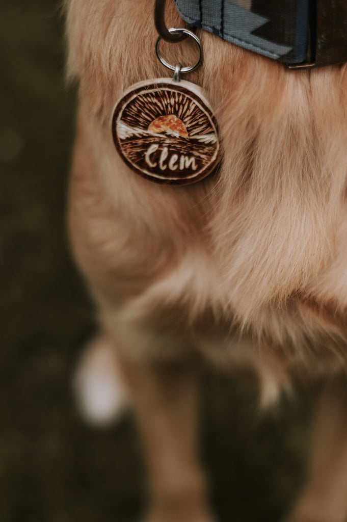 Golden Retriever chest wearing Engraved antler name tag