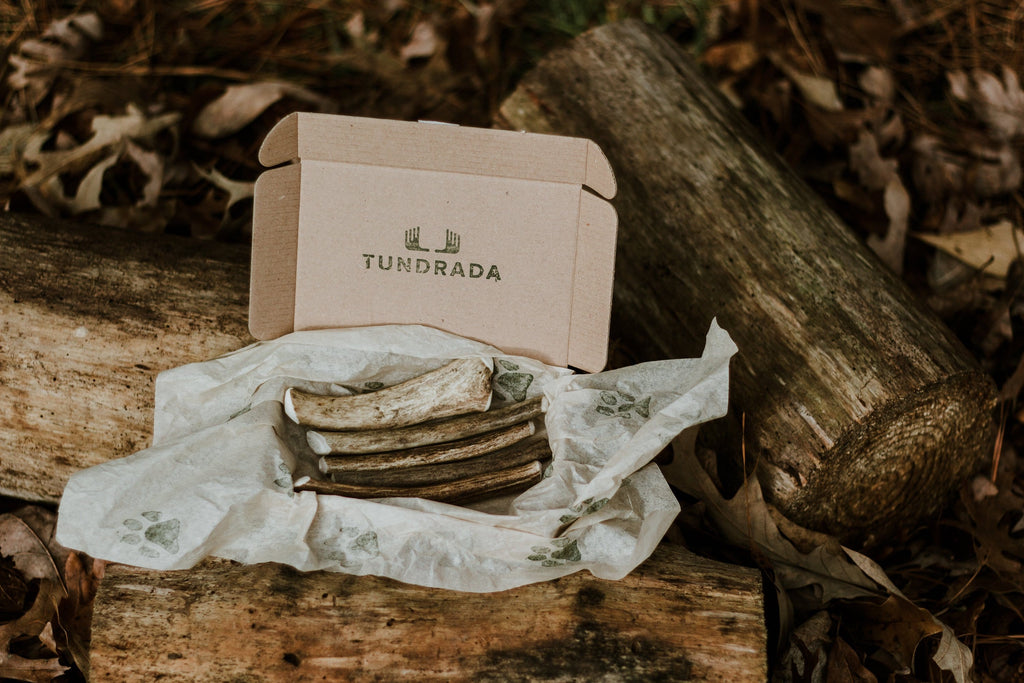 Antler dog chews in their packaging